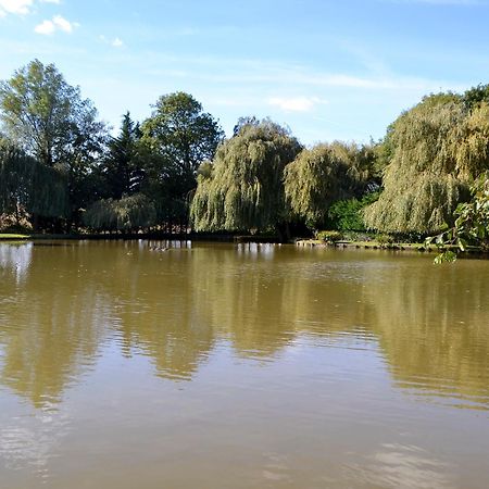 Lake House Cottage Finchingfield Екстериор снимка