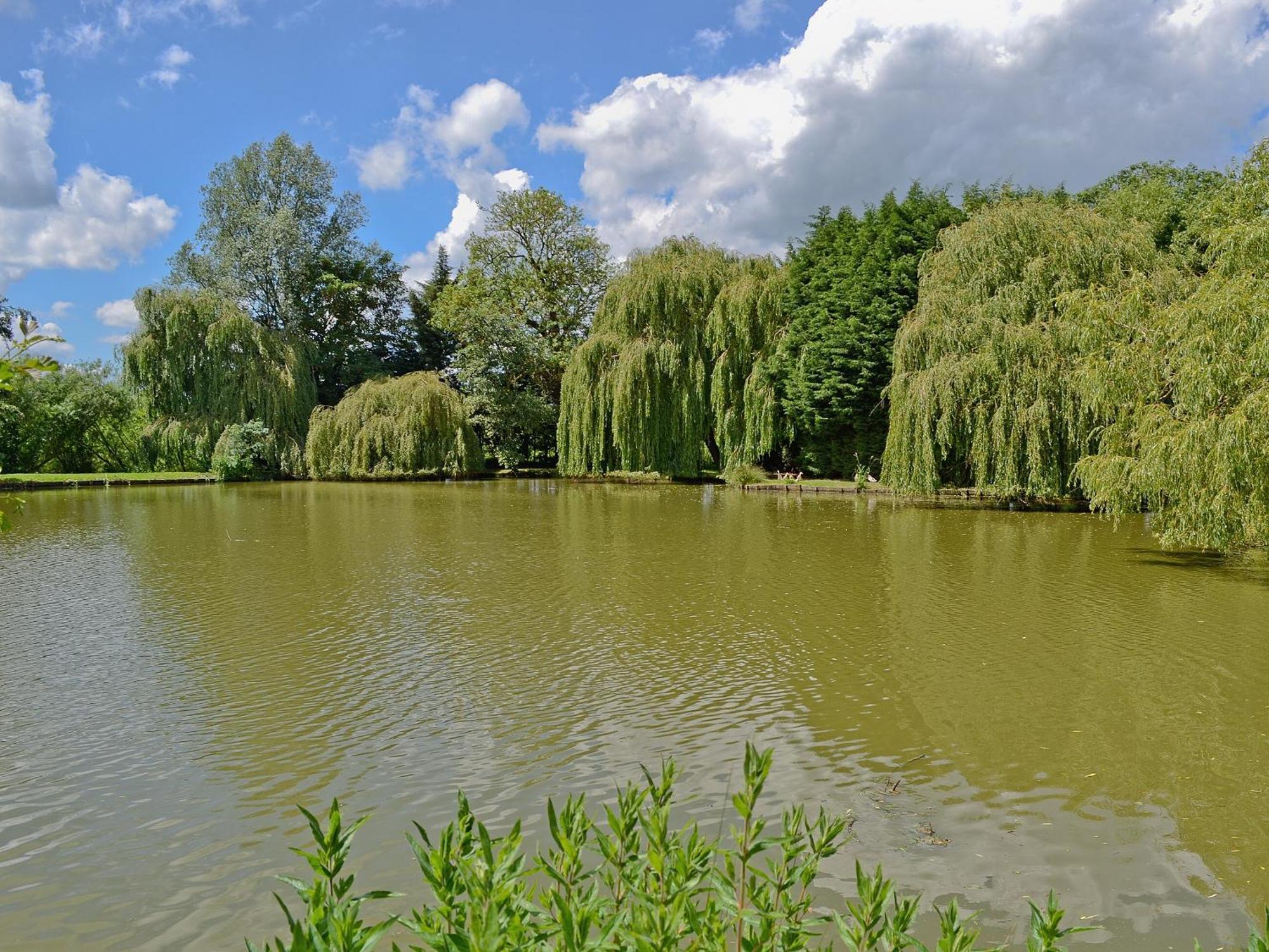 Lake House Cottage Finchingfield Екстериор снимка