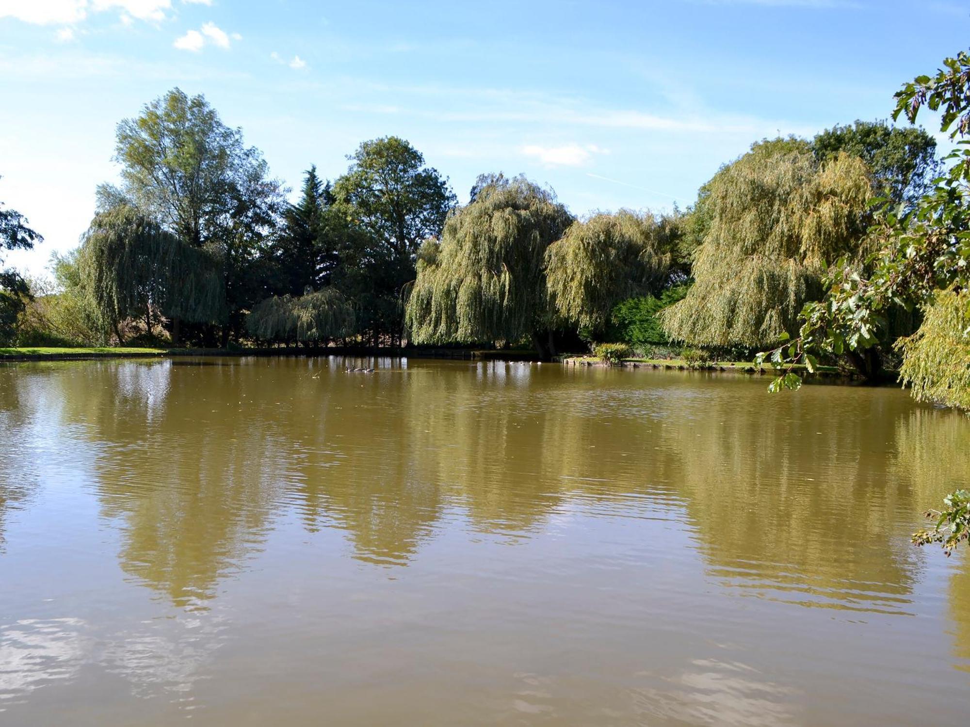 Lake House Cottage Finchingfield Екстериор снимка